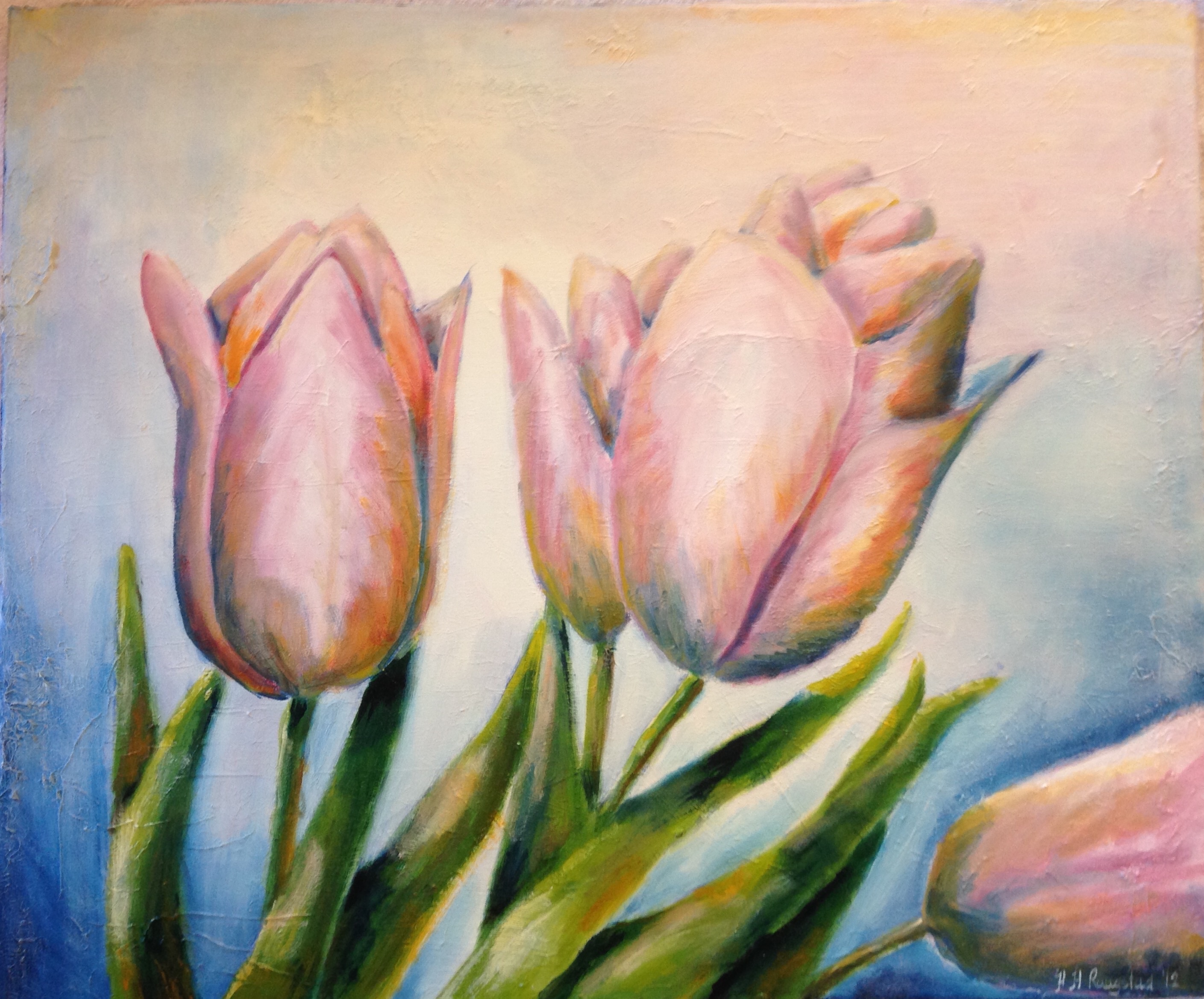 Tulipaner